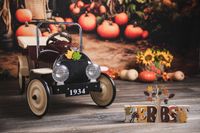 Herbst-Kinder-Fotoshooting,-Tretauto,-Vintage_Johanna-Burosch-PHOTOGRAPHY_3