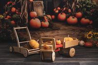 Herbst-Kinder-Fotoshooting,-Tretauto,-Vintage_Johanna-Burosch-PHOTOGRAPHY_8